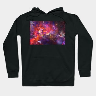 Wild cosmos 5 Hoodie